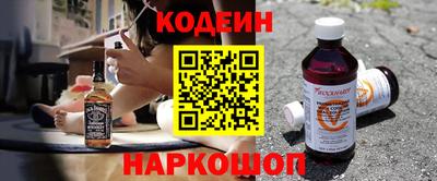 индика Камышлов