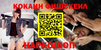 индика Камышлов