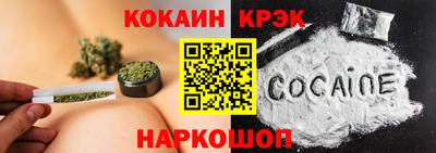 индика Камышлов
