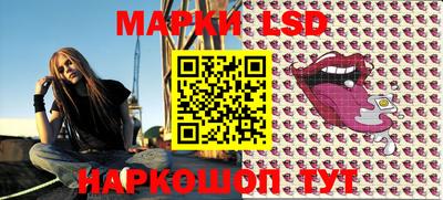 индика Камышлов