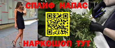 индика Камышлов