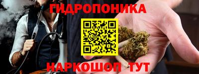 ПСИЛОЦИБИНОВЫЕ ГРИБЫ Канаш