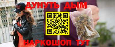 индика Камышлов