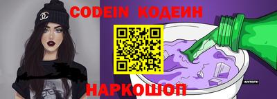индика Камышлов