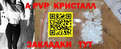 индика Камышлов