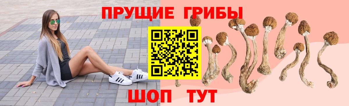 Псилоцибиновые грибы Psilocybine cubensis  Вход с VPN  Кропоткин 