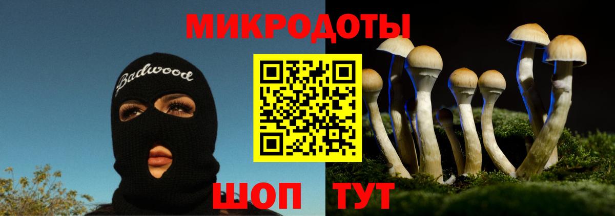 Галлюциногенные грибы Psilocybine cubensis Кропоткин